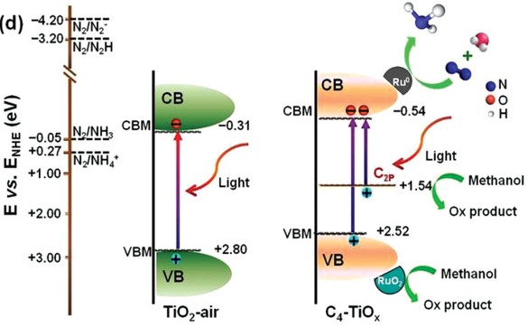 photon-phonon co-driven catalysis for ammonia synthesis